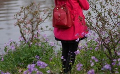 刀锋1937剧情介绍